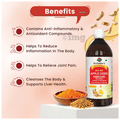 Dr. Patkar's Apple Cider Vinegar Ginger, Turmeric & Fenugreek with the Mother thumbnail