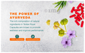 Himalaya Tentex Royal Capsule (10 Each) thumbnail