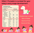 Roro Saur Nourishment-Rich Puree 6+ Months (100gm Each) Millet-Y-Pumpkin thumbnail