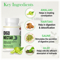 Eternal Life Ayurveda Digonectar Powder | Ayurvedic Medicine for Constipation, Appetite & Indigestion thumbnail