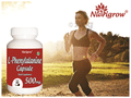 Nutrigrow L-Phenylalanine Capsule thumbnail