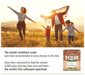Everyday Four Raw Flax Seeds (150gm Each) thumbnail