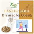 Yuvika Paneer Dodi - Paneer Ke Phool - Withania Coagulan thumbnail