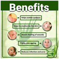 Vedic Ayurveda Aloe Vera Powder thumbnail