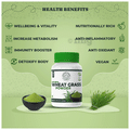 Jayshankar Ayurved Natural Wheat Grass Powder thumbnail