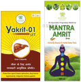 Mantra Ayurveda Herbal Detox Kit thumbnail