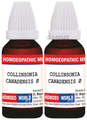 Dr. Majumder Homeo World Collinsonia Canadensis Mother Tincture (30ml Each) Q thumbnail