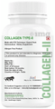 HXN Sugar Free Collagen-II Tablet (60 Each) thumbnail