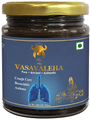 Gir Vasavaleha thumbnail