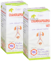 Unjha Chandraprabha Vati (Loh-Shilajit Yukta) Tablets (40 Each) thumbnail
