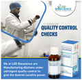 LDD Bioscience Zincum Phosphoricum Dilution (100ml Each) 200 CH thumbnail