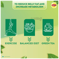 Lipton Green Tea Bag (1.3g Each) Clear & Light thumbnail