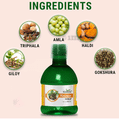 Kudos Kausar Syrup thumbnail