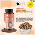 Bliss of Earth Tribulus Terrestris 500mg Capsule thumbnail
