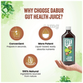 Dabur Gut Health Juice thumbnail