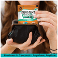 Kwik Mint Bursts Strip (120 Each) Cool Spearmint thumbnail