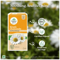 Organic India Tea for Immunity, Antioxidant Support & Stress Relief | Flavour Simply Chamomile Green Tea thumbnail