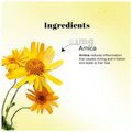Richfeel Arnica Anti Dandruff Shampoo - Clears Dandruff, Soothes Itching (100ml Each) thumbnail
