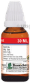 Dr. Majumder Homeo World Sabal Serrulata Mother Tincture (30ml Each) Q thumbnail