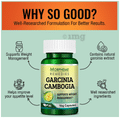 Morpheme Garcinia Cambogia Hca 60% Capsule thumbnail