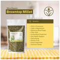 Shiva Organic Unpolished Browntop Millet thumbnail