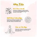 Tribe Kombucha Combo Pack of Probiotic Sparkling Super Drink Ginerade & Hibis-Kiss (250ml Each) thumbnail