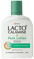 Lacto Calamine Oil Balance Lotion | For Combination to Normal Skin | Paraben Free thumbnail