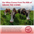 Foodstrong Grass Fed Whey Protein Concentrate + Isolate Powder Coffee thumbnail
