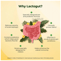 Velbiom Lactogut Capsule | Probiotics Supplement for Gut & Digestive Health, Immunity | Capsule thumbnail