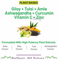 Bliss Welness Giloy + Tulsi + Amla + Ashwagandha + Curcumin Immunity Health Veg Tablet thumbnail