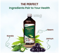 Swadeshi Ayurved Jamun Neem Karela Juice thumbnail