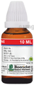 Dr. Majumder Homeo World Asafoetida Dilution 1M thumbnail