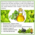 Earth N Pure Oregano Essential Oil thumbnail