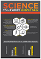Muscleblaze Biozyme Whey PR Molten Chocolate Cake thumbnail