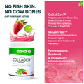 Oziva Plant-Based Collagen Builder | Nutrition Care Powder Berry Orange thumbnail