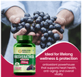 Himalayan Organics Resveratrol Grape Seed Extract Vegetarian Capsule thumbnail