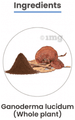 MediZen Reishi Mushroom Tablet thumbnail