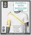 IGR Humerus with Shoulder Grey XXL thumbnail