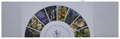 Healing Herbs Bach Flower Remedies Kit of 30ml thumbnail