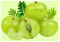 Nutrixia Amla Powder thumbnail