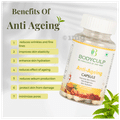 Bodyculp Combo Pack of Combo Pack of Plant Based Acne Control Powder Green Apple Flavour (150gm) & Anti-Ageing Capsules (60 Each) thumbnail