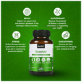 StemRx Bramhi Capsule for Stress Relief & Brain Health thumbnail