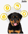 Fidele Plus Large Puppy Dry Dog Food thumbnail