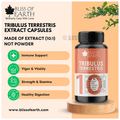 Bliss of Earth Tribulus Terrestris 500mg Capsule thumbnail