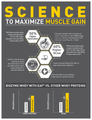 Muscleblaze Biozyme Performance Whey Protein Sachets (36gm Each) Rich Chocolate thumbnail