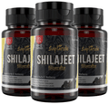 Saptarishi Shilajeet Capsule (72 Each) thumbnail
