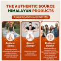 Divya Himalayan Ashwagandha Capsule thumbnail