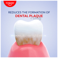 Colgate PerioGard Mouthwash, Low Staining Formula, Alcohol-Free thumbnail