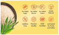 Baidyanath (Nagpur) Isabgol Psyllium Husk Powder thumbnail