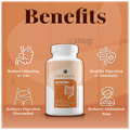 Earthsome Gutzyme+ Capsule thumbnail